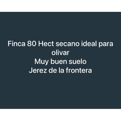 Finca agrícola 80 HA