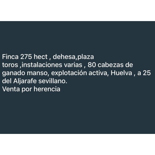 Finca ganadera 275 HA