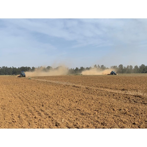 Finca agrícola 37 HA 2