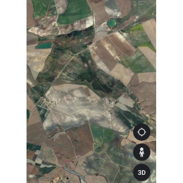 Finca agrícola 167 HA 2