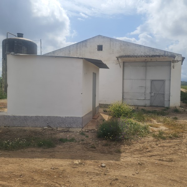 Finca agrícola 5 fanegas con naves 2