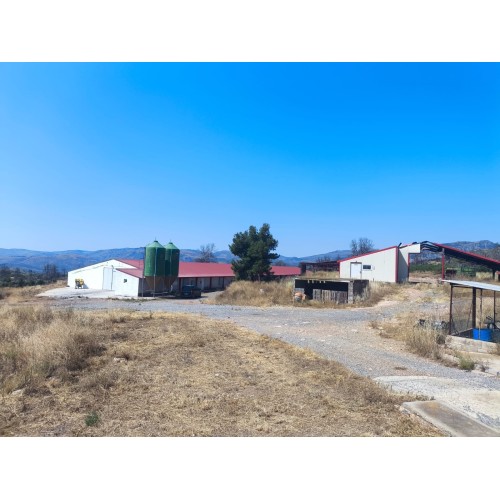 Granja avícola en funcionamiento