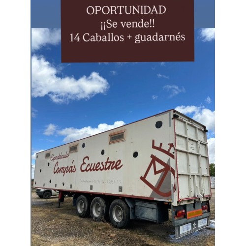 Semirremolque tráiler para caballos