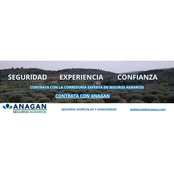 PORTFOLIO ANAGAN