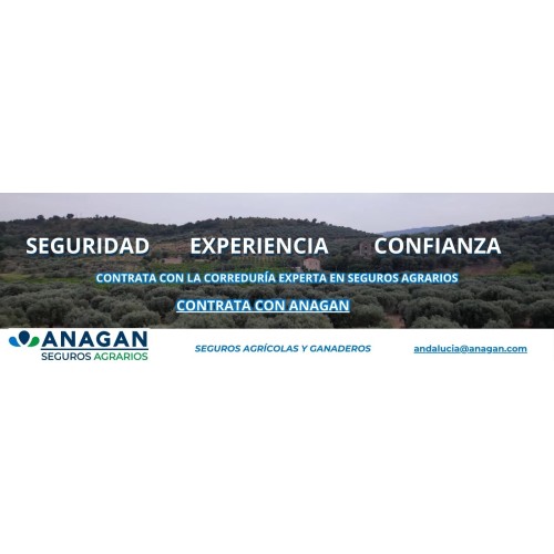 PORTFOLIO ANAGAN