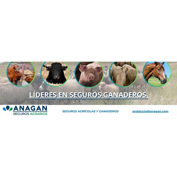 SEGUROS GANADO VACUNO