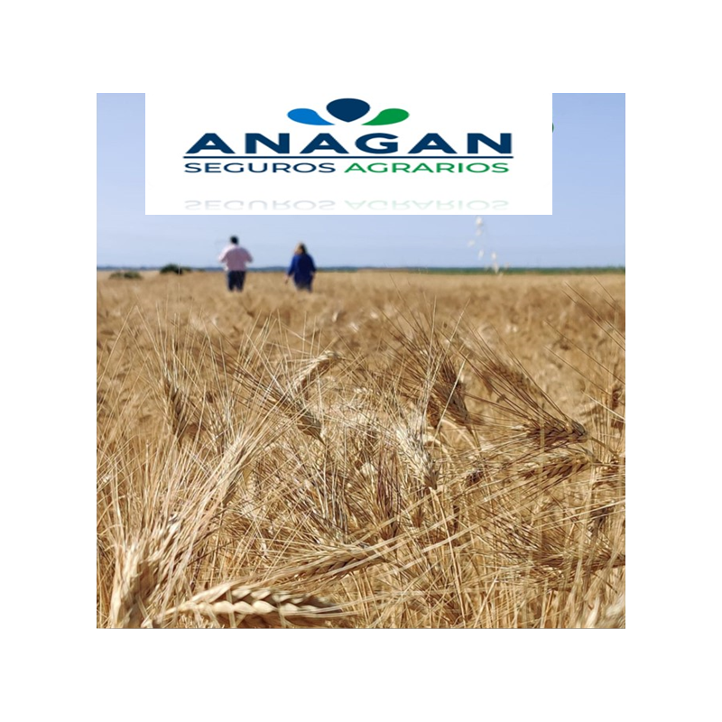 Seguro de CULTIVOS HERBACEOS