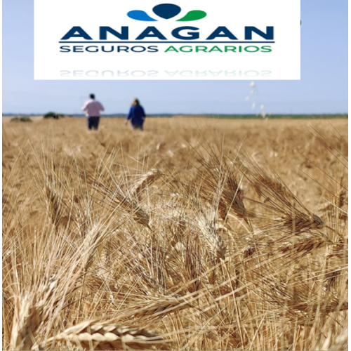 Seguro de CULTIVOS HERBACEOS