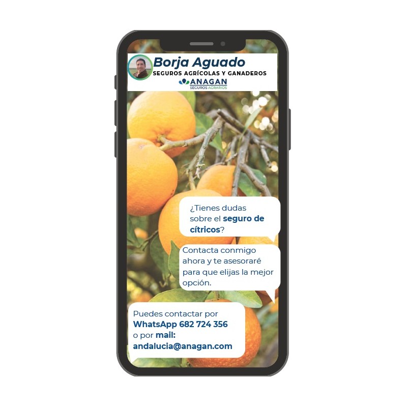 Seguro de  CITRICOS ANAGAN