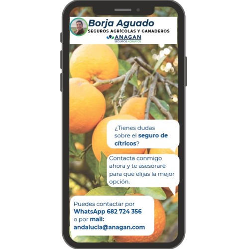 Seguro de  CITRICOS ANAGAN