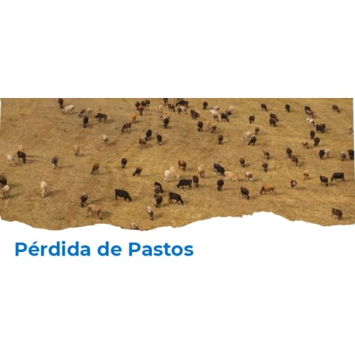 Seguro de COMPENSACION POR LA PERDIDA DE PASTOS ANAGAN