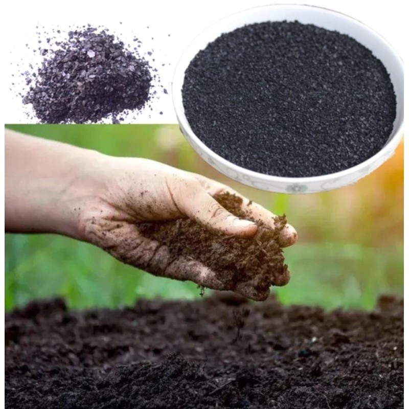 Blacki® – Micronutrientes