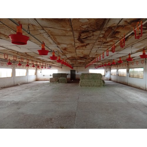 Kit comederos granja pavos