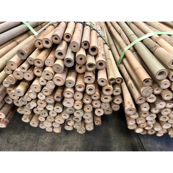 Tutor caña de bambú 2