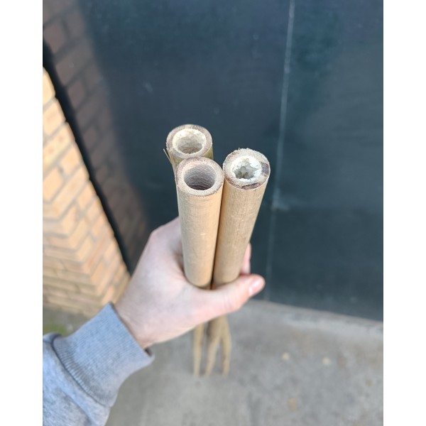 Tutor caña de bambú