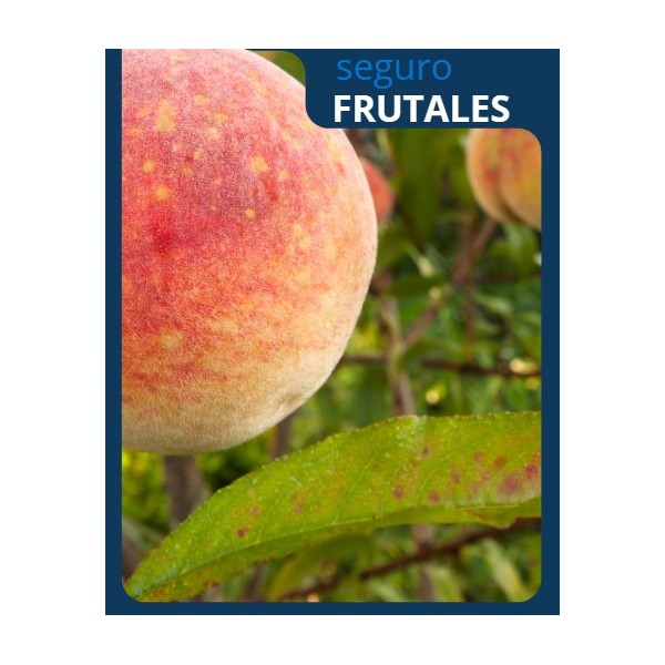 seguro-frutales 2