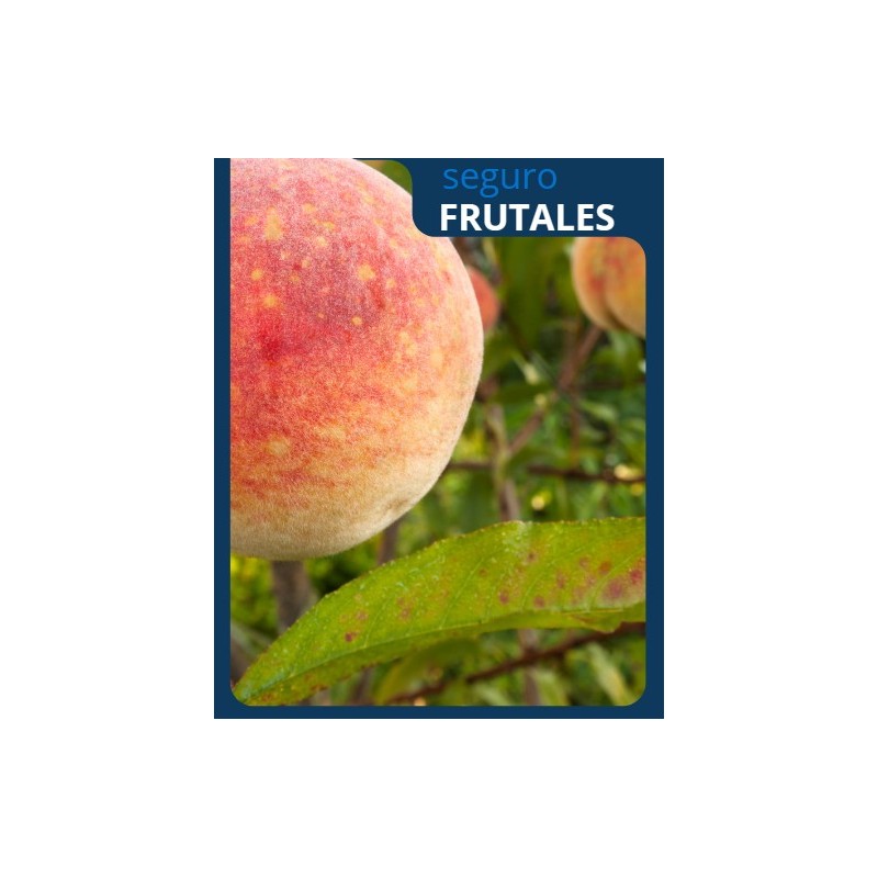 seguro-frutales