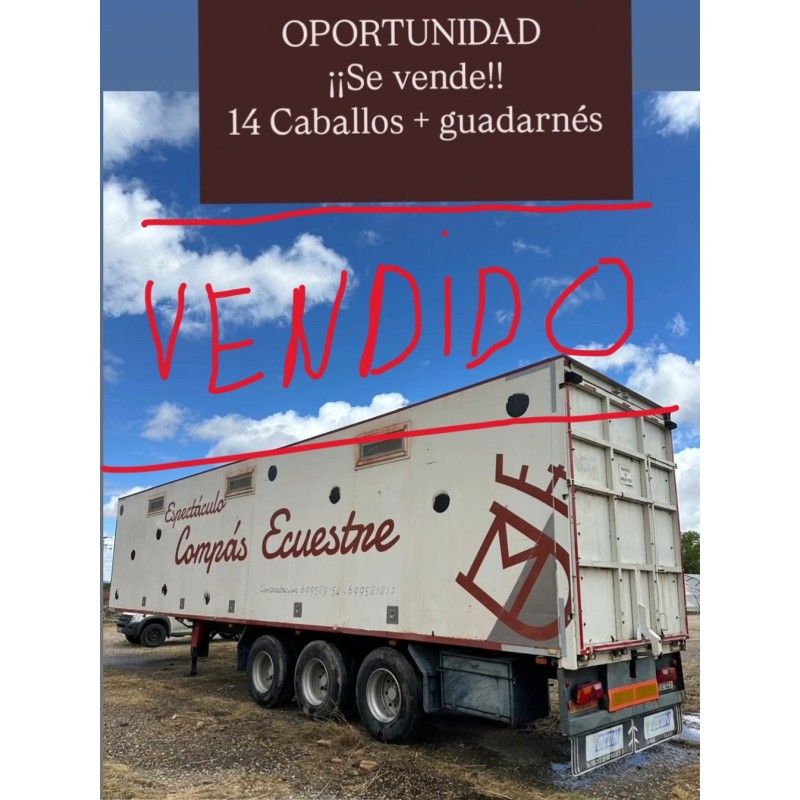 Semirremolque tráiler para caballos