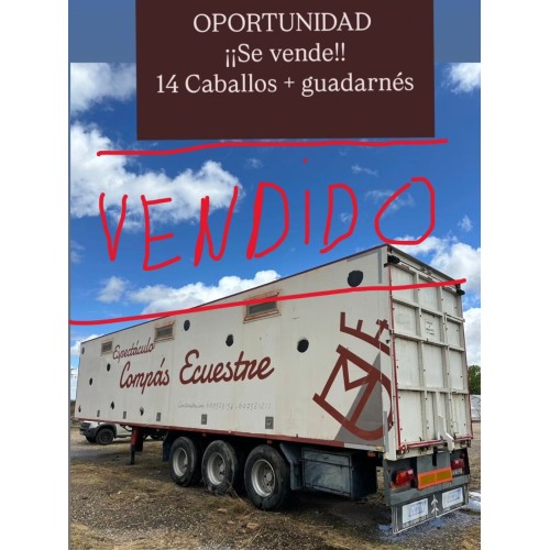 Semirremolque tráiler para caballos
