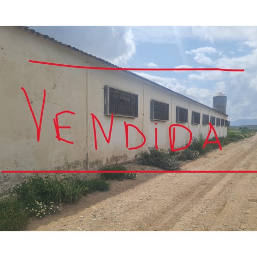 Finca agrícola 5 fanegas con naves