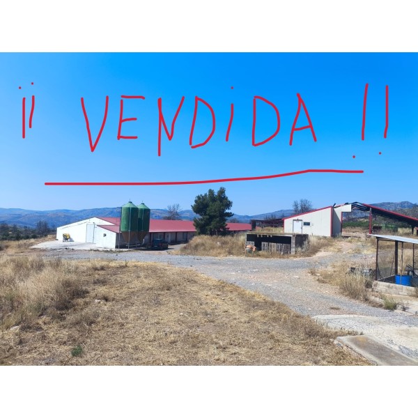 Granja avícola en funcionamiento