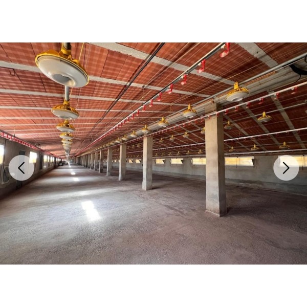 Granja avícola en Valencia 2