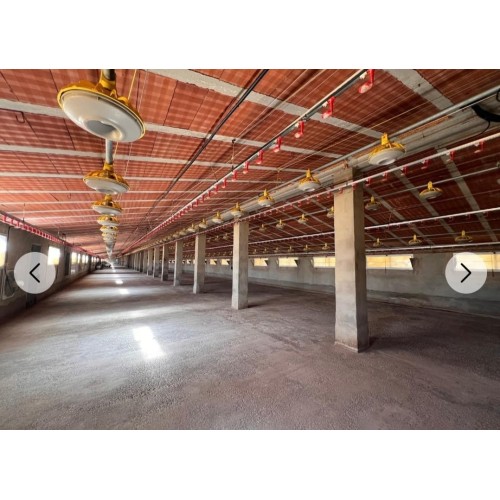 Granja avícola en Valencia