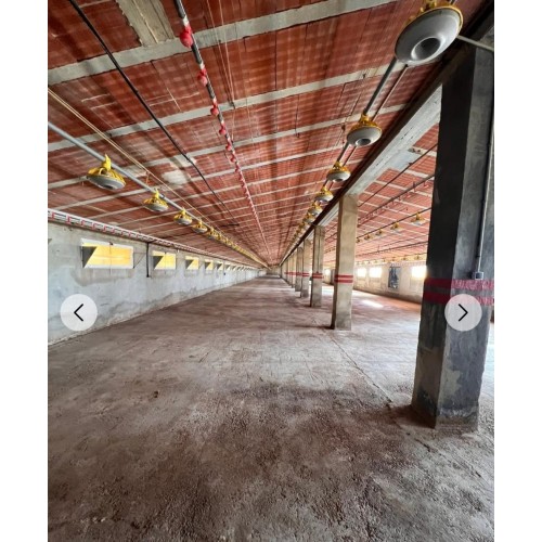 Granja avícola en Valencia