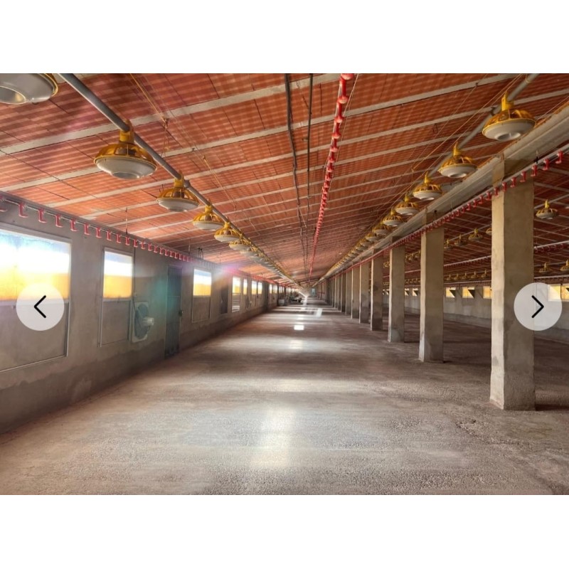 Granja avícola en Valencia