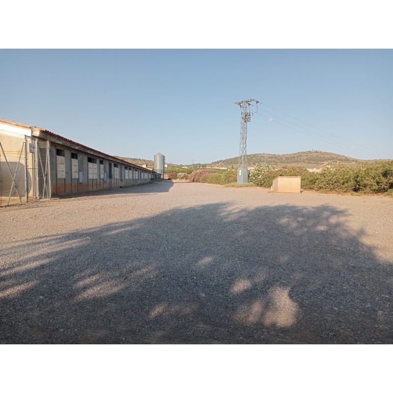 Granja avícola en Valencia