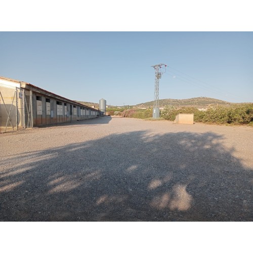 Granja avícola en Valencia