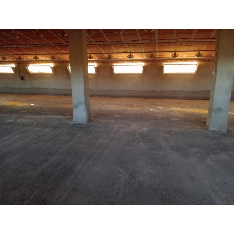 Granja avícola en Valencia