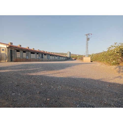 Granja avícola en Valencia
