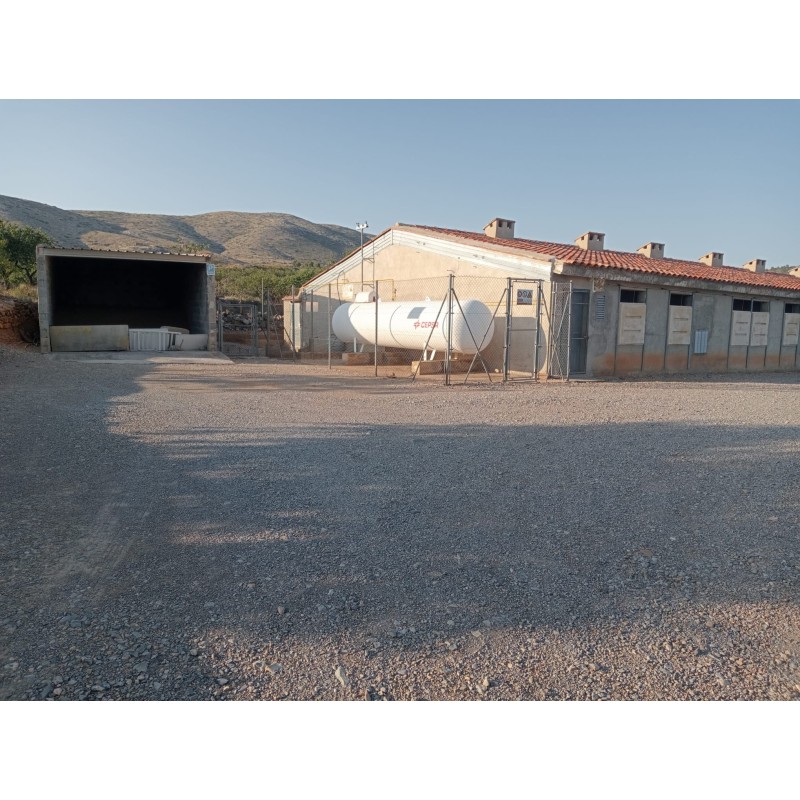 Granja avícola en Valencia