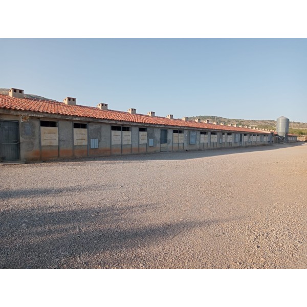 Granja avícola en Valencia