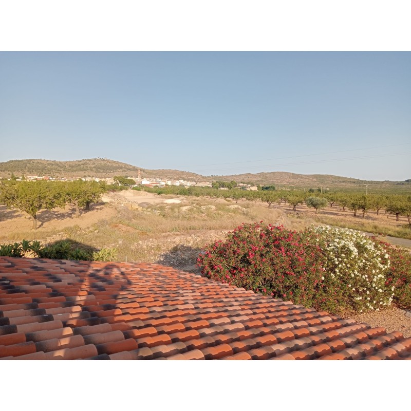 Granja avícola en Valencia