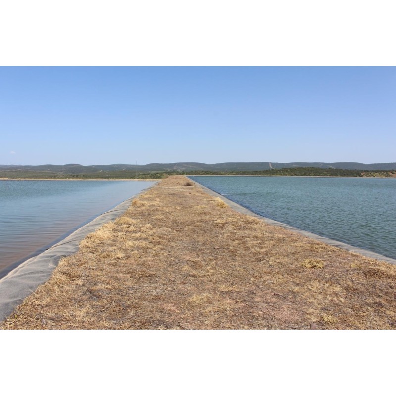 Finca Olivar 1.706 ha | Superintensivo + Agua Propia 350.000 m³ | Jaén