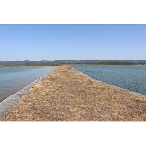 Finca Olivar 1.706 ha | Superintensivo + Agua Propia 350.000 m³ | Jaén