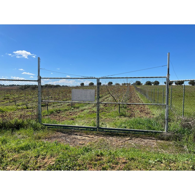 Finca de pistachos en Bollullos Par del Condado