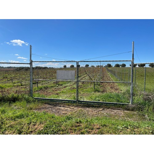 Finca de pistachos en Bollullos Par del Condado