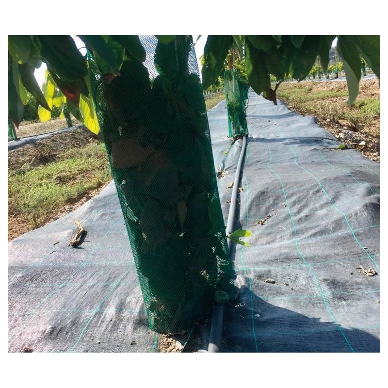 TECMA H2O2 50%