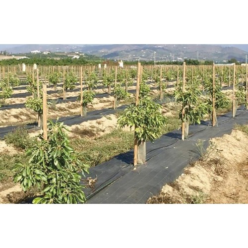 TECMA H2O2 50%