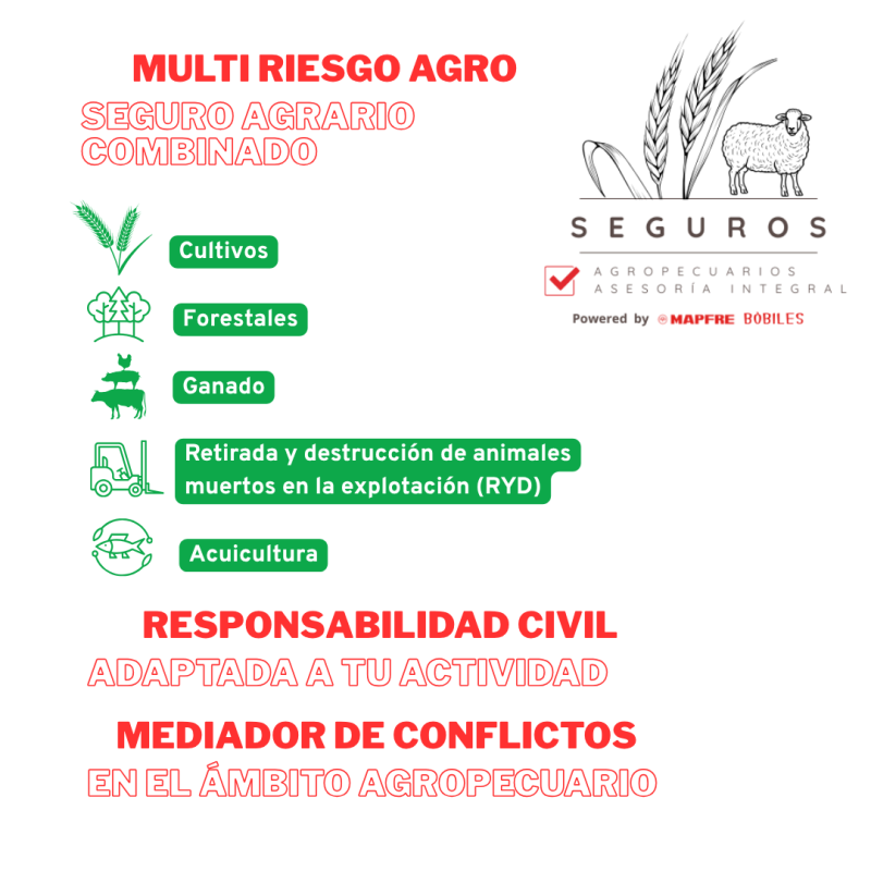 SEGUROS MAPFRE RESPONSABILIDAD CIVIL