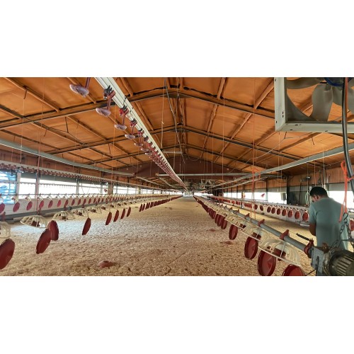Kit comederos y bebederos granja avícola segunda mano