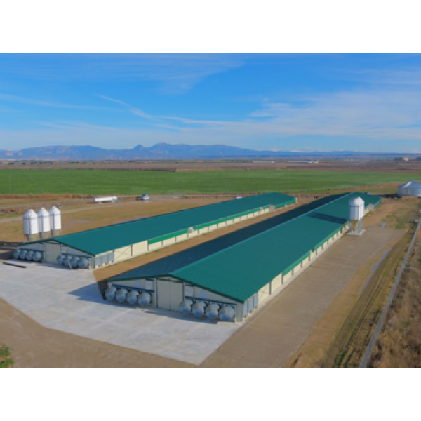 Equipamiento para granja avícola de engorde de pollos (Broilers) 2
