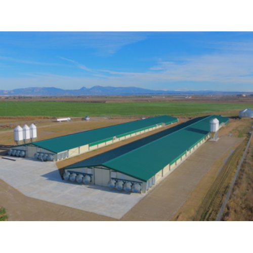 Equipamiento para granja avícola de engorde de pollos (Broilers)