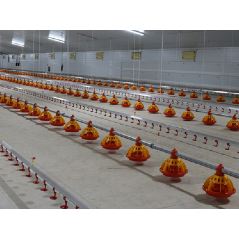 Equipamiento para granja avícola de engorde de pollos (Broilers)