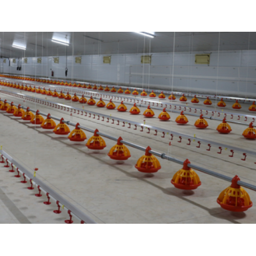 Equipamiento para granja avícola de engorde de pollos (Broilers)