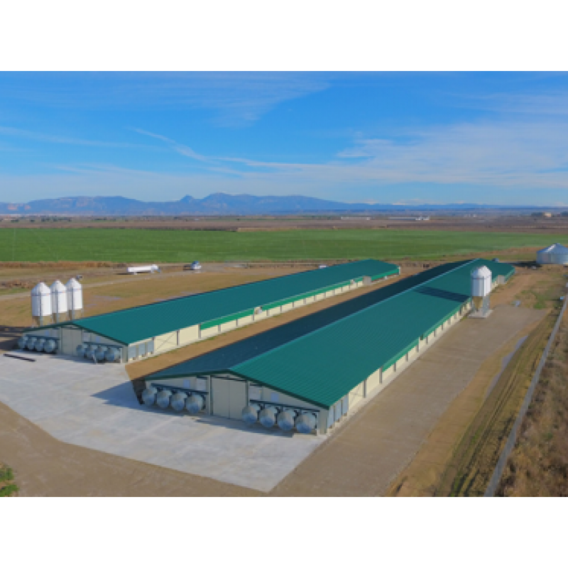 Equipamiento para granja avícola de engorde de pavos