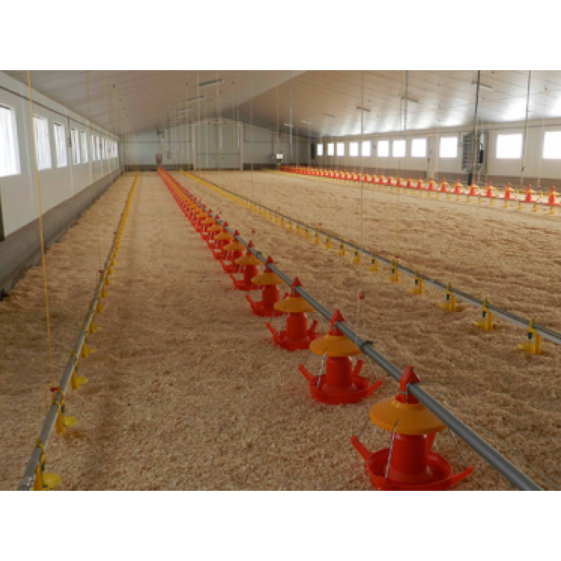 Equipamiento para granja avícola de engorde de pavos